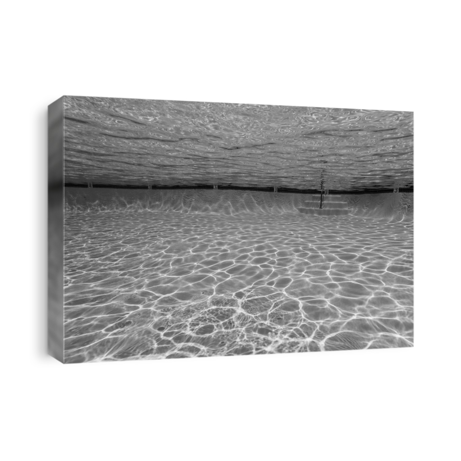 Black and white underwater view in clean suburban swimming pool.