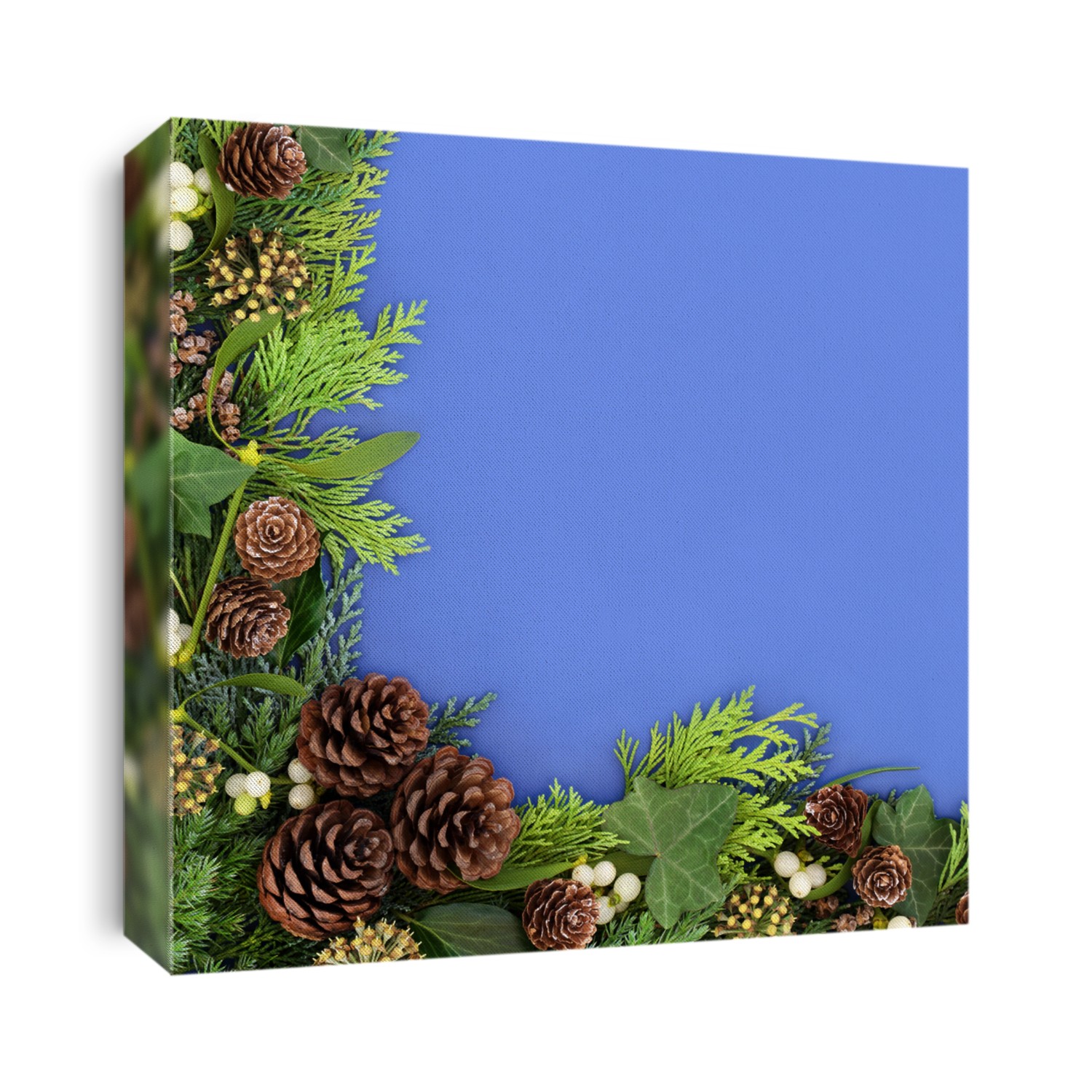 Traditional winter greenery background border with cedar cypress & juniper fir leaves mistletoe, ivy & pine cones on blue background. Composition for the Xmas & New Year. Top view, copy space.